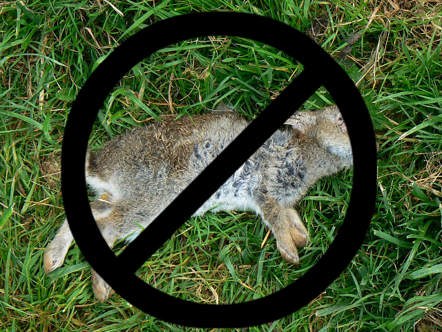Dead Rabiit Patron robbed while inside The Dead Rabbit | The Greer Journal